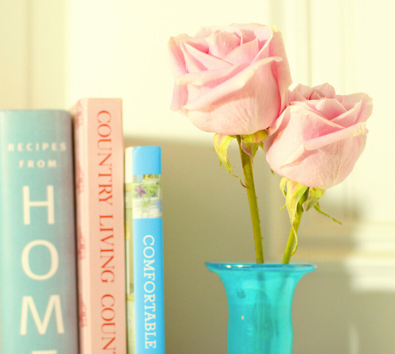 Two Pink Roses in Vase