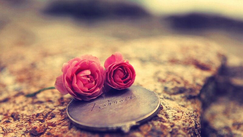 Two Pink Roses on Coin — Serene, Photograph, Stone