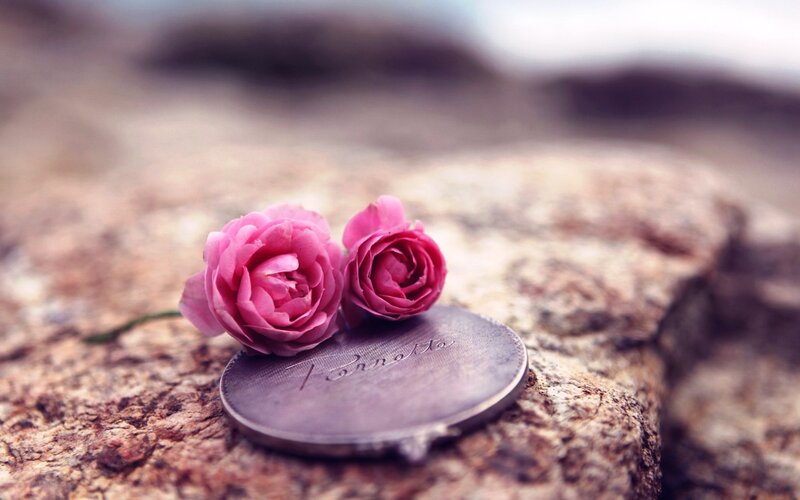 Two Pink Roses on Coin