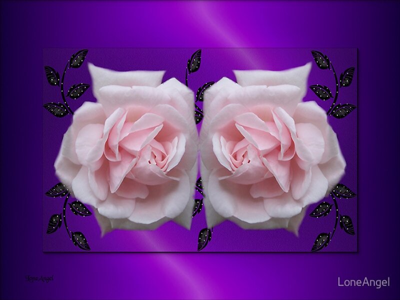 Two Pink Roses — Purple, Serene