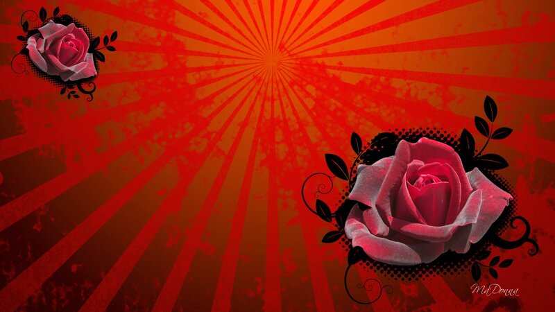 Two Pink Roses — Red