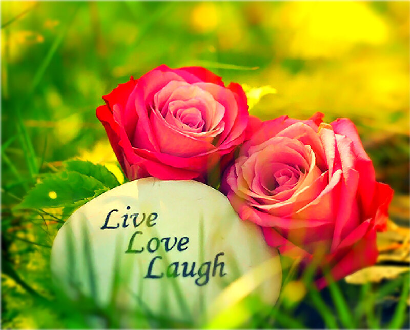 Two Pink Roses — Serene, Afternoon, Photograph, Stone