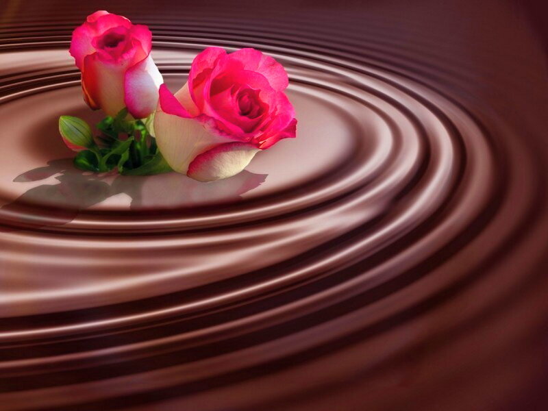 Two Pink Roses — Serene, Digital Art, Flowers