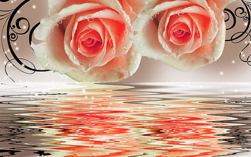 Two Pink Roses — Serene, Digital Art