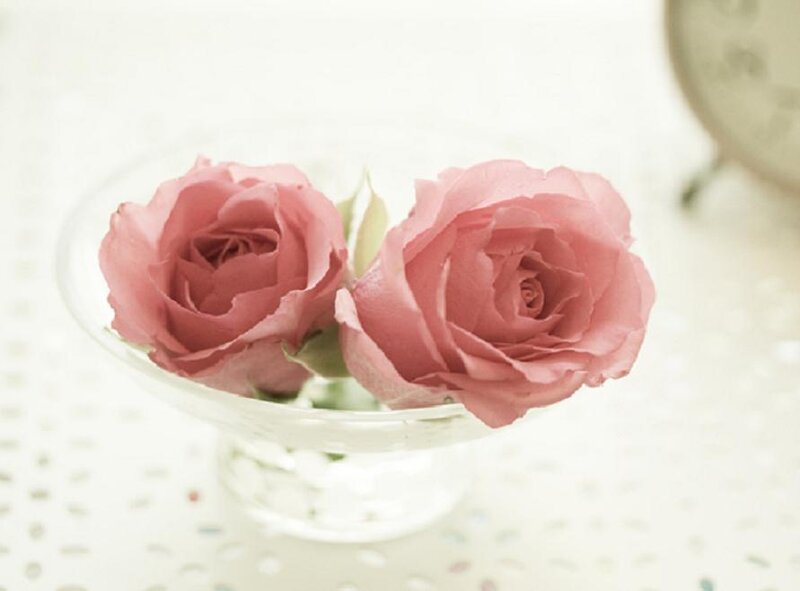 Two Pink Roses — Serene, Photograph, Glass Bowl