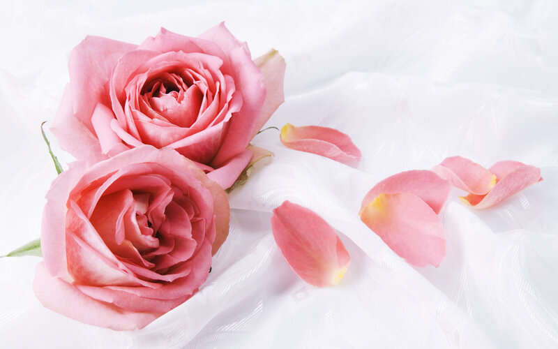 Two Pink Roses — Serene, Photograph, Petals, Fabric