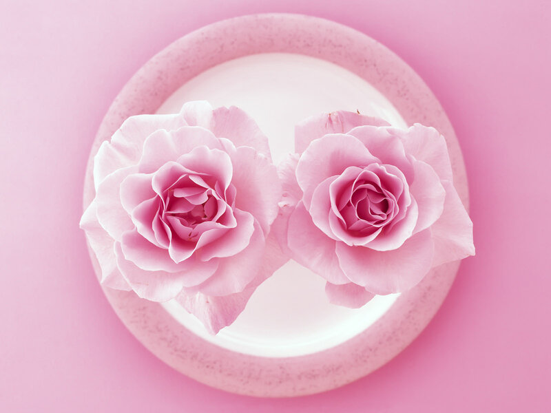 Two Pink Roses — Serene, Photograph, Plate