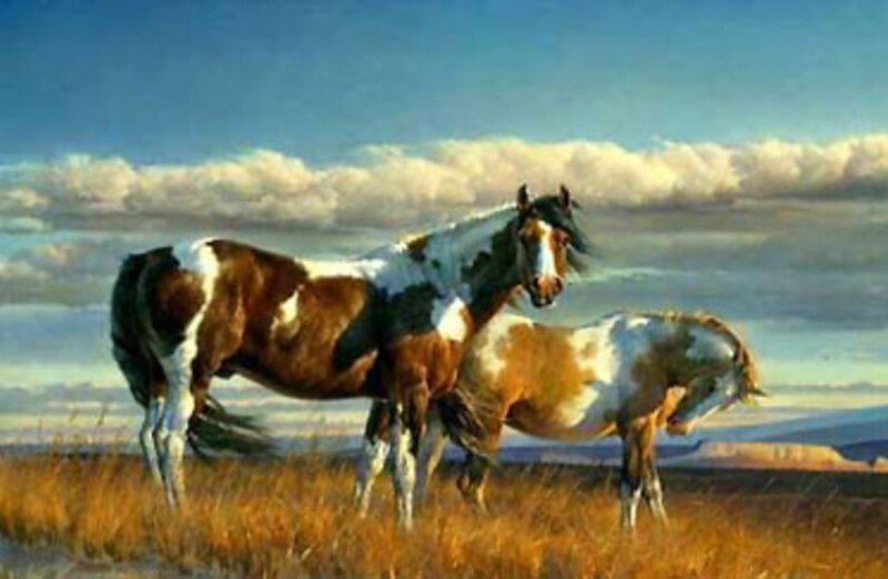 Two Pinto Horses