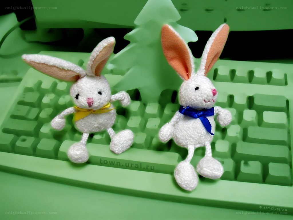 Two plush bunnies on keyboard