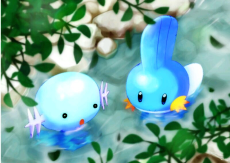 Two Pokémon in Water