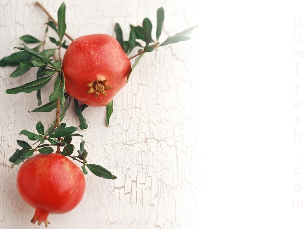 Two pomegranates on a branch