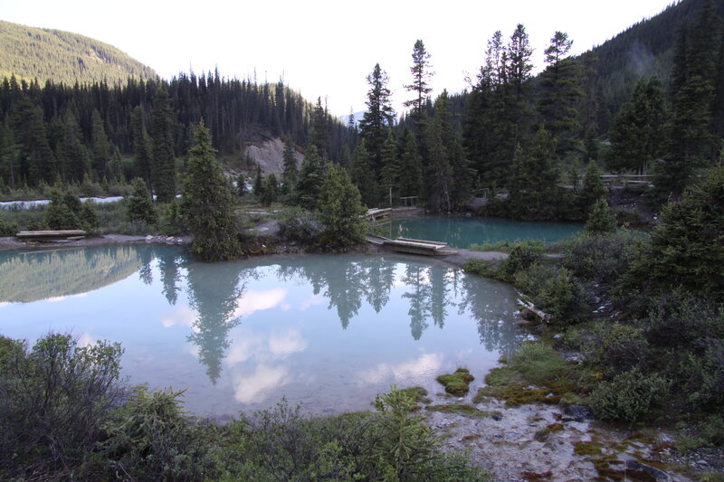 Two Ponds in Forest