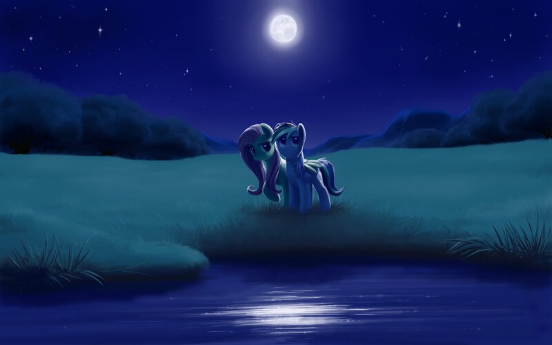 Two Ponies in a Field — Blue