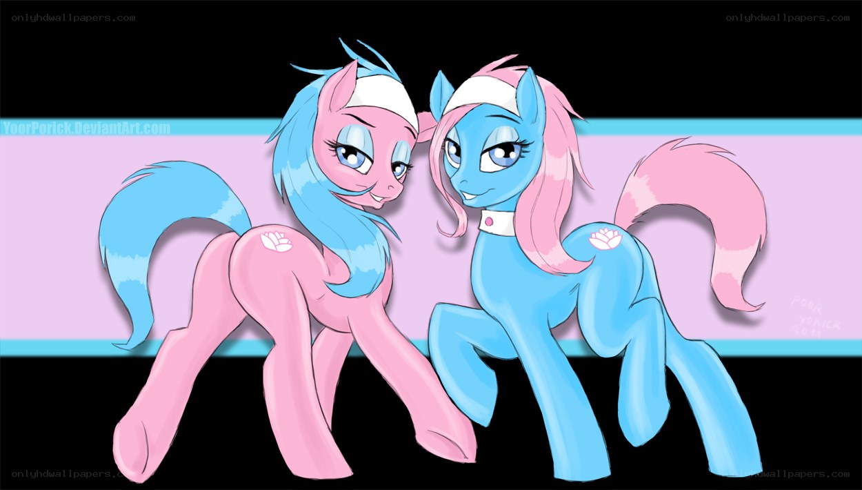 two ponies in a mirror