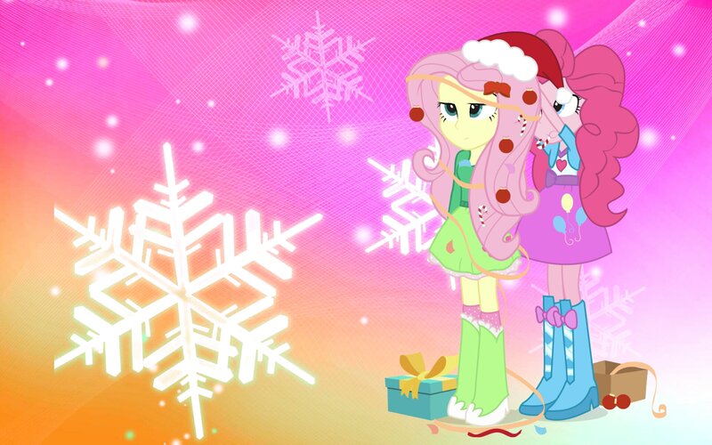 Two Ponies in Winter Clothes