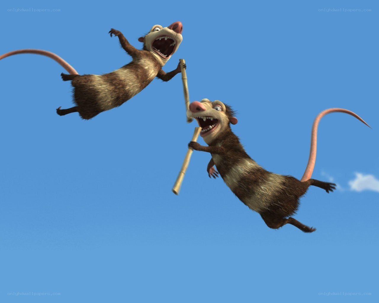 Two possums flying in the sky