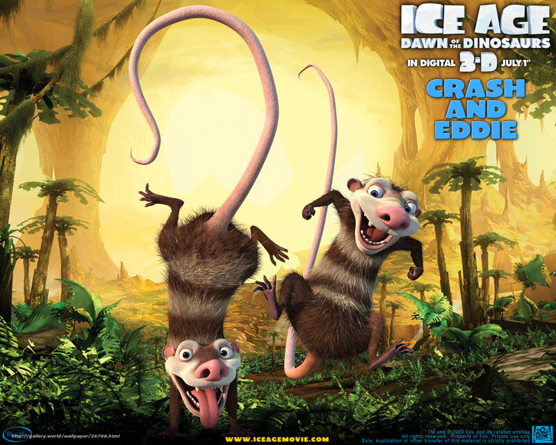 Two Possums in Jungle