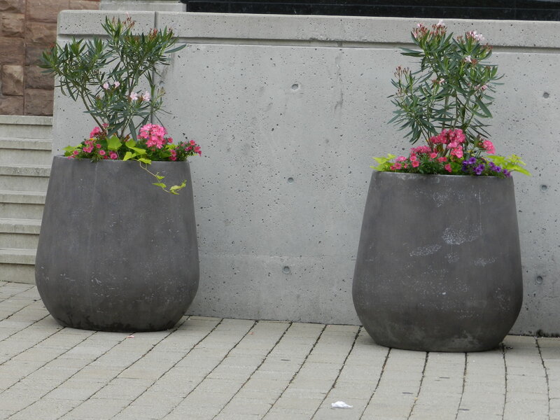 Two Potted Plants