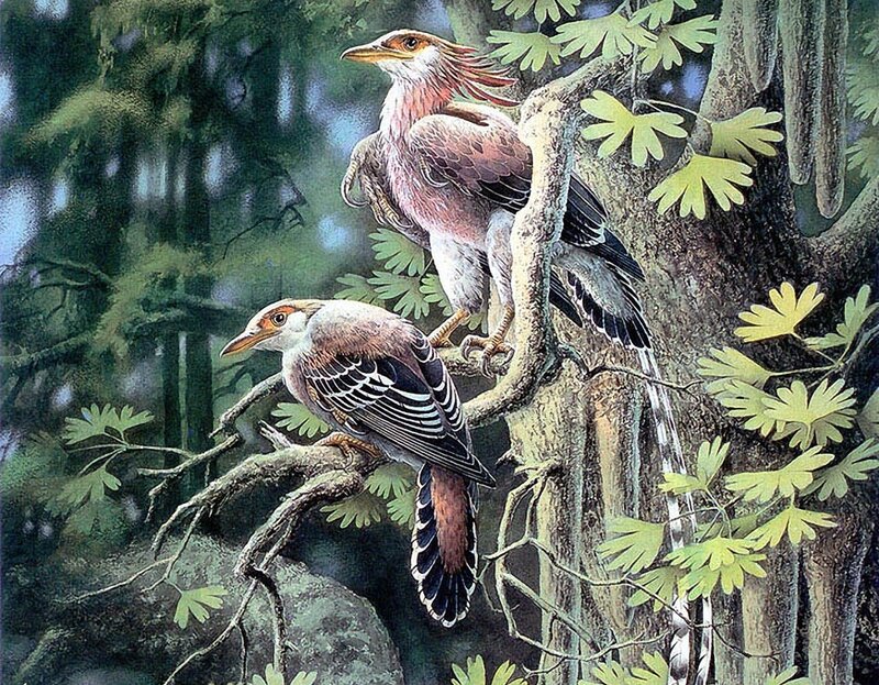 Two Prehistoric Birds