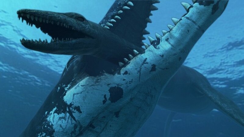 Two Prehistoric Marine Reptiles