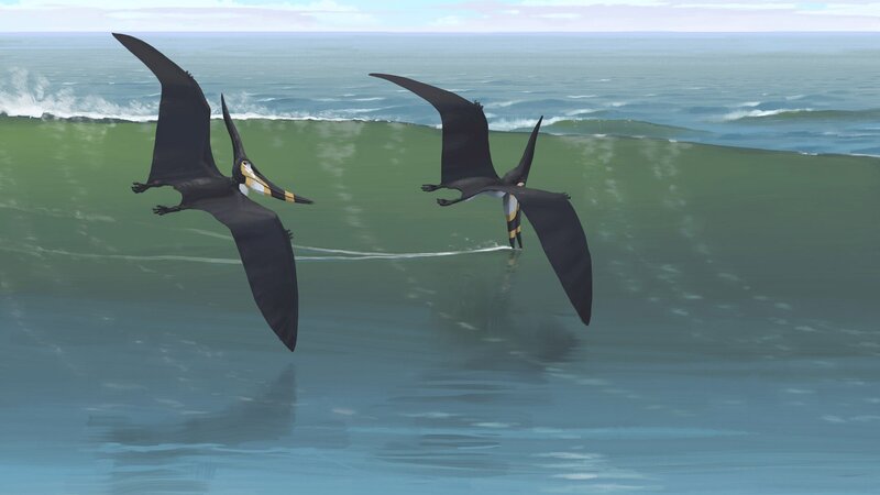 Two Pterosaurs Flying — Blue
