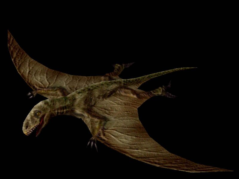 Two Pterosaurs Flying