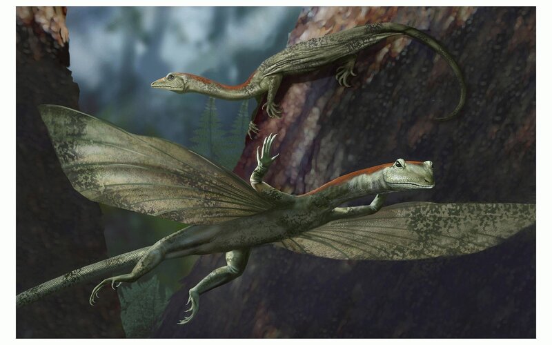 Two pterosaurs in a forest