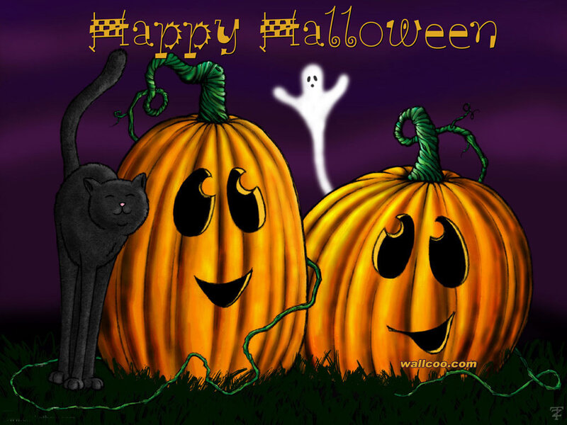 Two Pumpkins with Cat