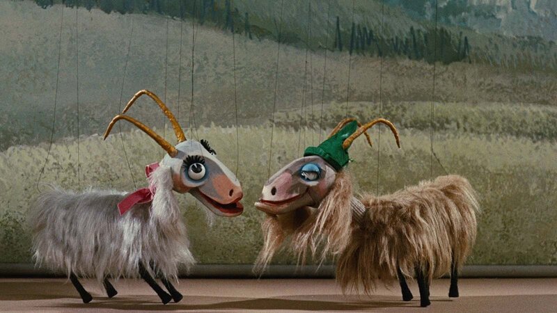 Two Puppet Goats