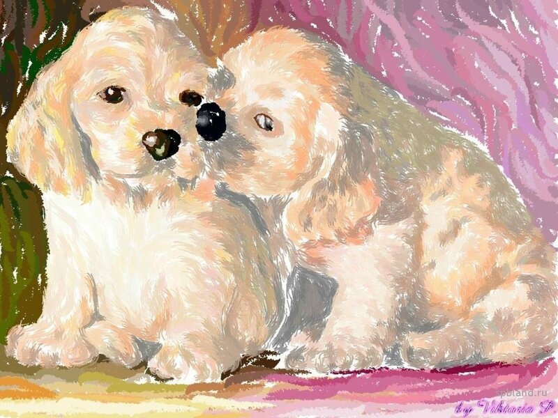 Two puppies cuddling