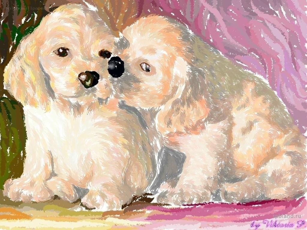 Two puppies cuddling