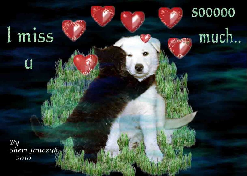 Two Puppies Hugging
