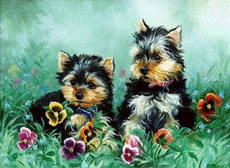 Two puppies in a flower garden