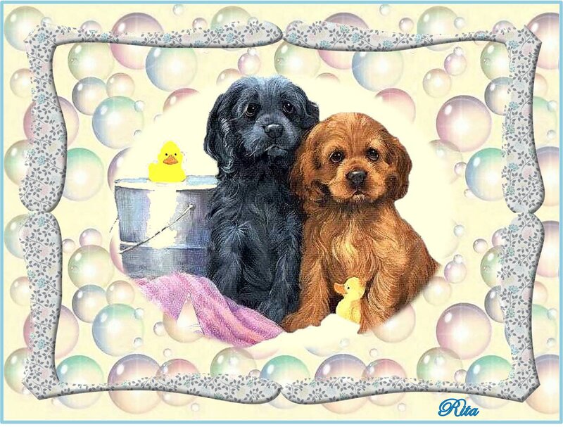 Two Puppies in Bath