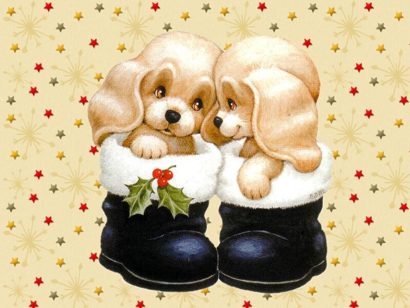 Two Puppies in Boots