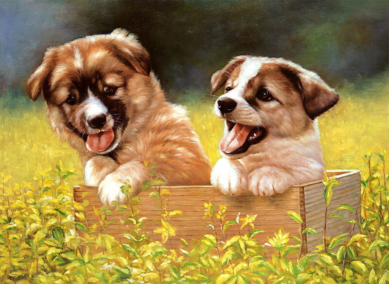 Two Puppies in Box — Yellow