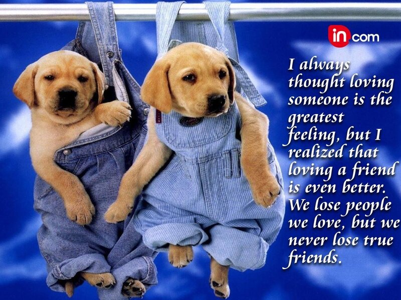 Two Puppies in Overalls