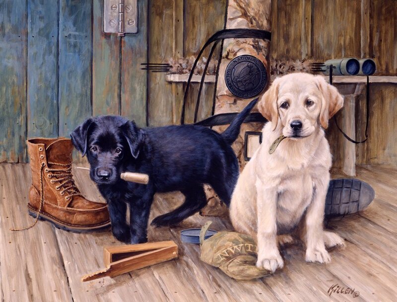 Two Puppies in Shed