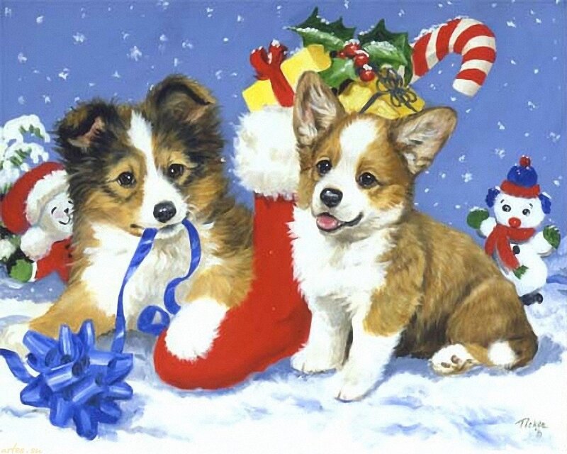 Two Puppies in Snow — Blue