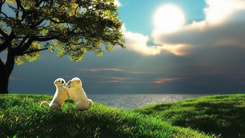 Two Puppies Playing — Green, Serene, Sunset, Digital Art, Tree, Grass, Sea, Blue