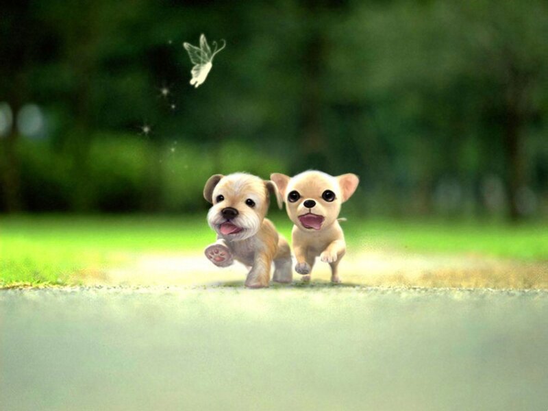 Two Puppies Running — Green