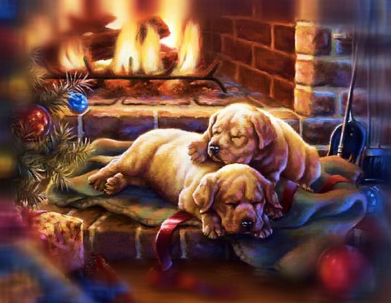 Two Puppies Sleeping — Brown, Cozy