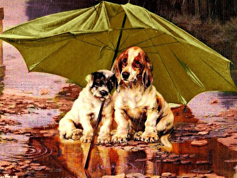 Two Puppies under Umbrella — Green