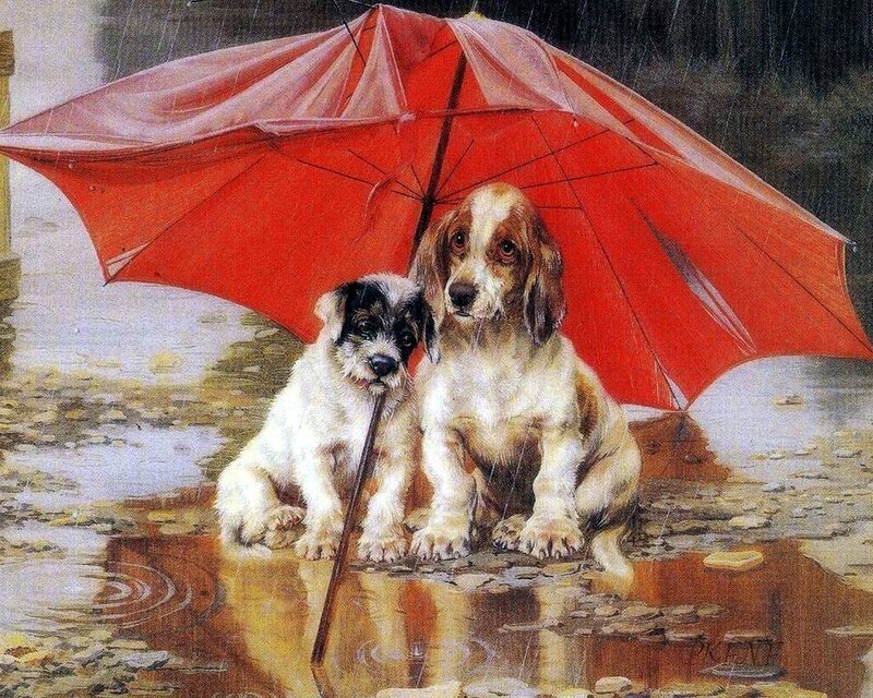 Two Puppies under Umbrella — Red, Dramatic