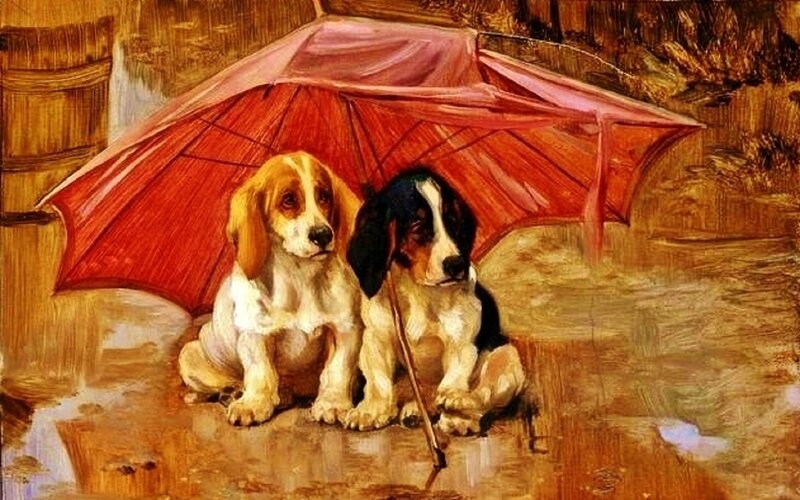 Two Puppies under Umbrella — Red