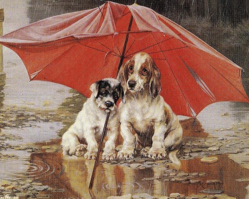 Two Puppies under Umbrella