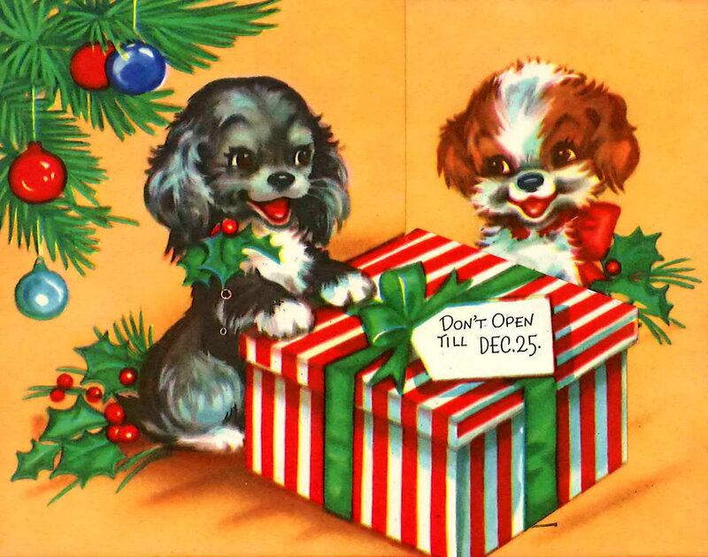 Two Puppies with Gift
