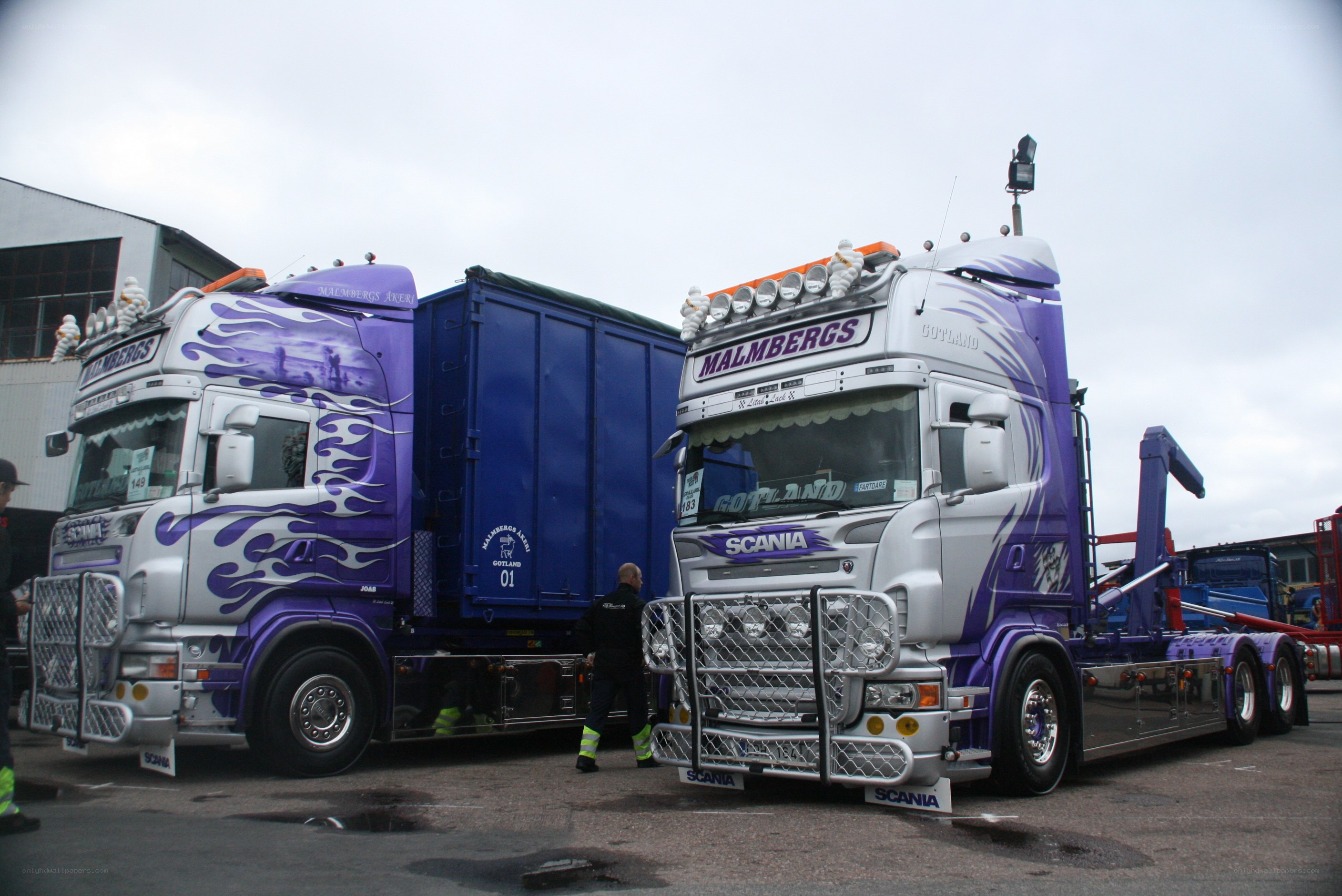 Two purple and silver Scania trucks