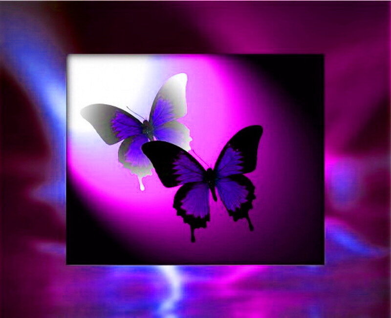 Two Purple Butterflies