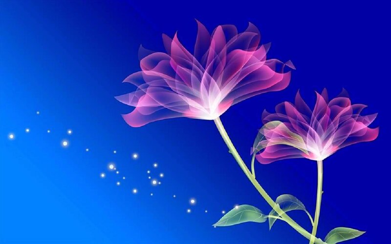 Two Purple Flowers — Blue, Serene, Night
